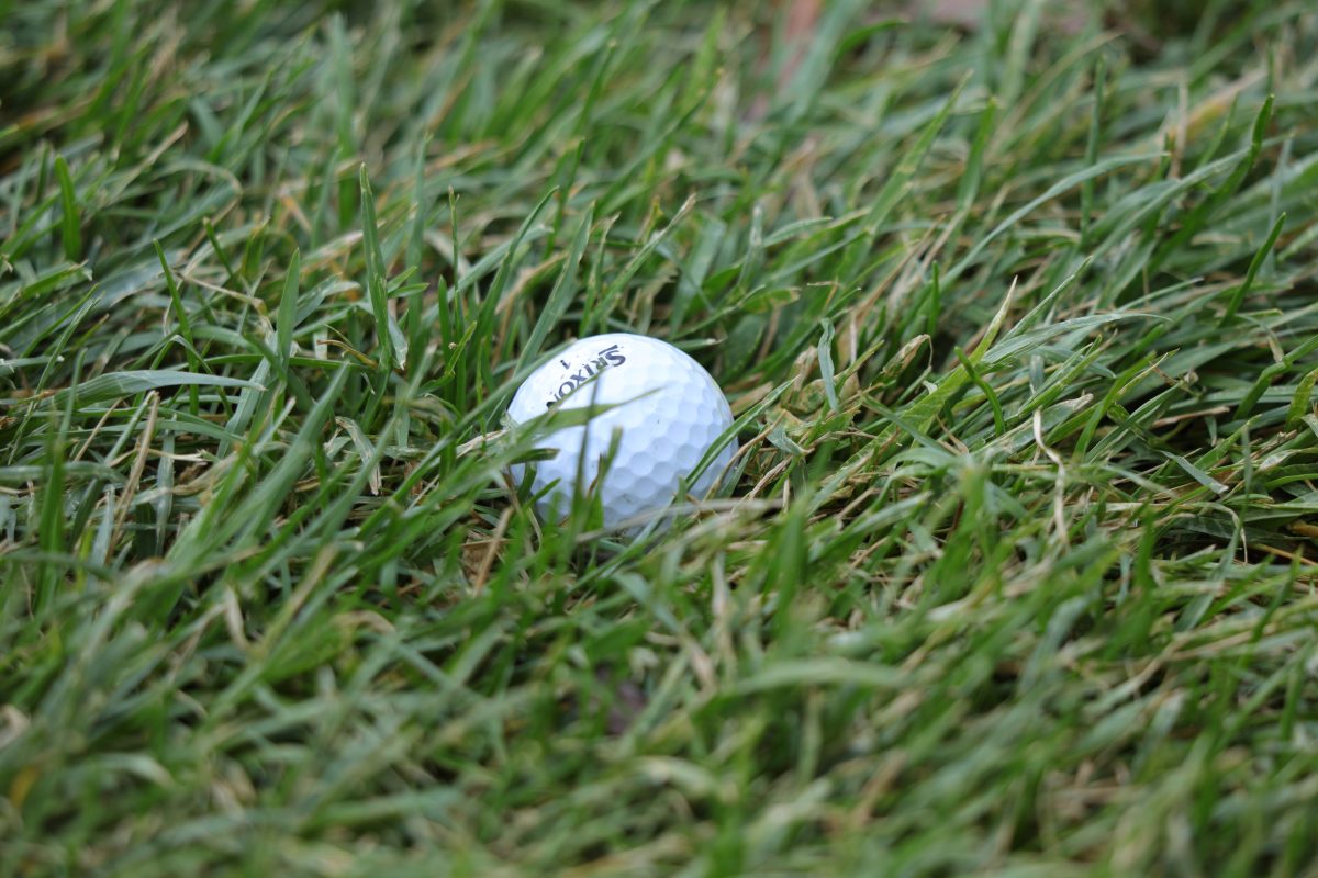 Davis, Fremont, and Layton Golfers Secure Top-10 Individual State Finishes